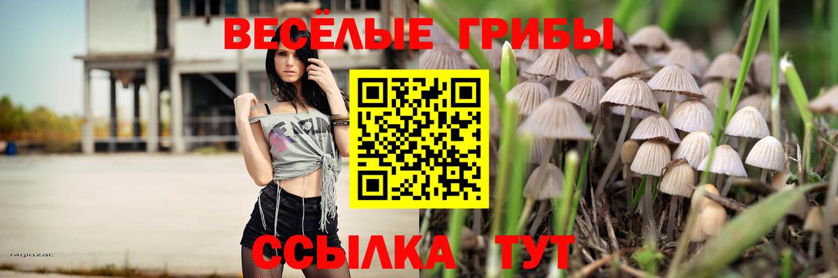 Псилоцибиновые грибы прущие грибы  Вход с VPN  Псилоцибиновые грибы ЛСД  Фролово 